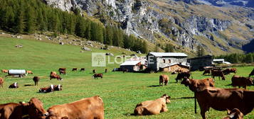 73210 Peisey-Nancroix Authentique chalet d'alpage à rénover