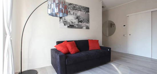 Appartement meublé  à louer, 2 pièces, 1 chambre, 55 m²