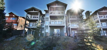 724 E Anemone Trl Unit B, Silverthorne, CO 80498