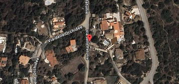 Villa all'asta in via delle Petunie, 9