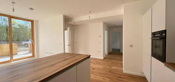 1 bed flat to rent