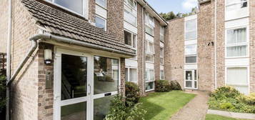 2 bed flat to rent