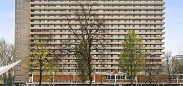 Hendrik Tollensstraat 308