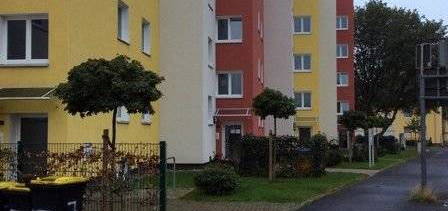 Schöne Wohnung mit Blick in die Bäume und neuem Badezimmer wartet auf Sie.