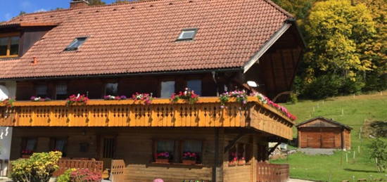 Schwarzwald Idyll in bester Sonnen-/Aussichtslage auf dem Schönen