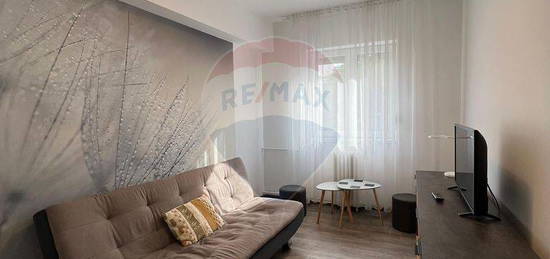 Apartament 2 camere de inchiriat zona centrala,Arad