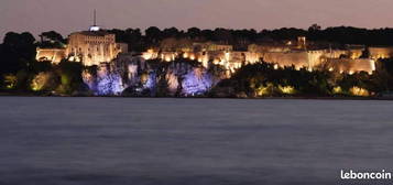 Exclu 2/3P vue MER Cannes Terrasses Garage Cave