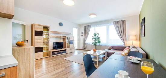 Pronájem bytu 2+kk 65 m², Švehlova, Praha