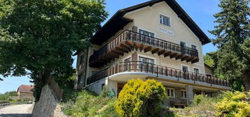 Wohnung mit Garten und grossem Balkon zu vermieten