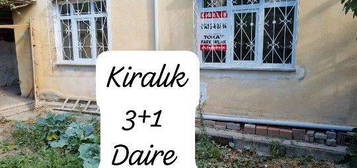 3+1 Kiralk Daire