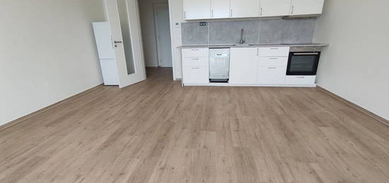 Pronájem bytu 1+kk 42 m²/flat to rent Brno, Sokolova