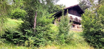 Casa indipendente in vendita in via dei Daini - Vaneze