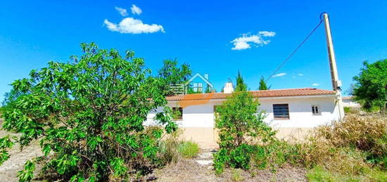 Finca rústica en venta en Vélez-Rubio