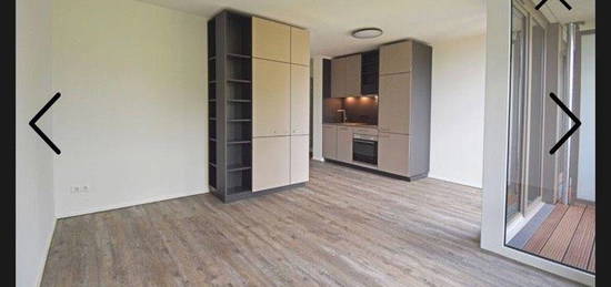 1-Zimmer-Apartment zum 1.11.