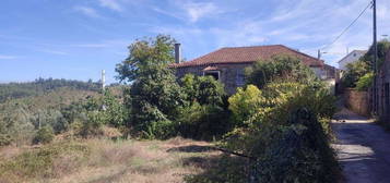 Quinta com casa de campo em São Geraldo (Tábua)