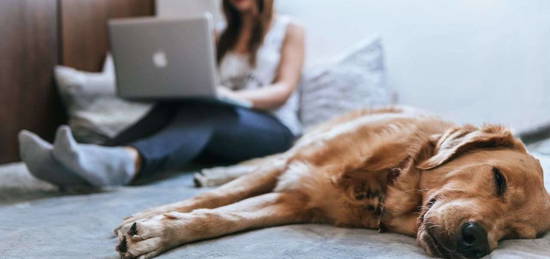 Homeoffice? Kein Problem! Ausreichend Platz für Arbeit & Leben in einem Haus von Bien-Zenker!