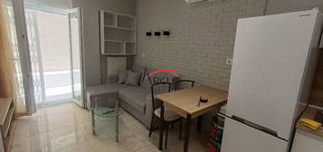 Apartment 43 sq.m.
