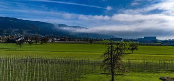 Raumwunder - Reihenhaus mit Weitblick