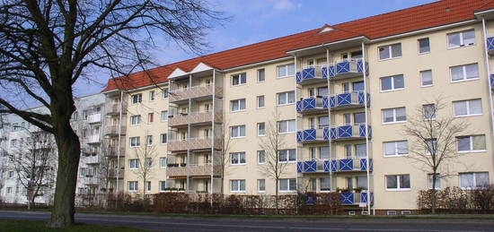 2-Raum-Wohnung in Waren (Müritz)