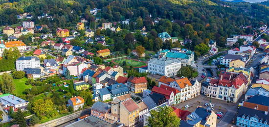 Rodinný dům, 401 m² + 536 m² pozemek, Smetanova, Česká Kamenice