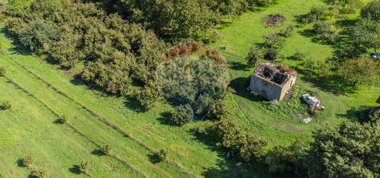 Casale/cascina in vendita in strada Campogiordano s.n.c