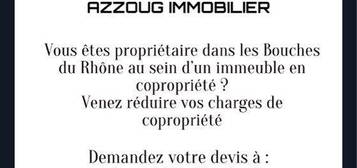 Azzoug immobilier