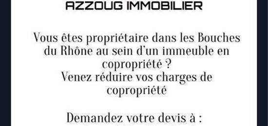 Azzoug immobilier