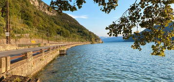 Maisonnette dans vignes surplombant lac du Bourget