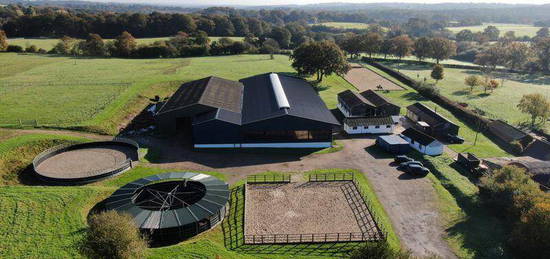 6 bedroom equestrian facility for sale