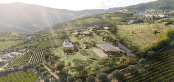 Casas Vivas Boutique Resort Douro Valley