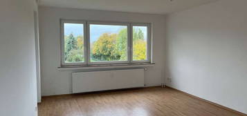 ***3...2...1...meins! schöne, helle 3 Zimmer Wohnung sucht neuen Mieter!***