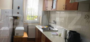 Apartament cu 2 camere , zona Botizului