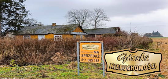 Siedlisko Szopinek, 1 km od Zamościa