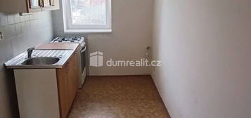 Pronájem bytu 1+1 44 m²