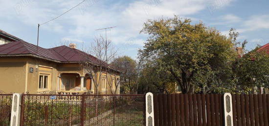 Vand casa (doua corpuri si anexe cu beci), libera, singur in curte, 963 mp, strada Principala