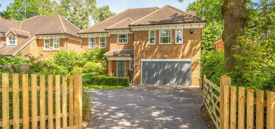 Detached house to rent in Rise Road, Sunningdale, Ascot SL5