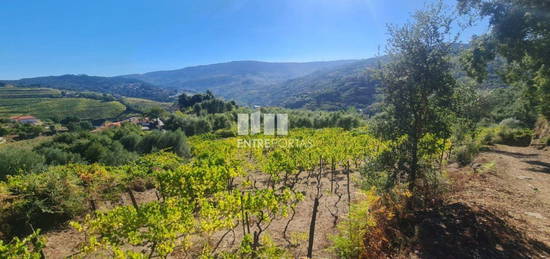 Venda de Terreno, Stª Marinha do Zêzere Baião