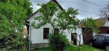 Természetvédelmi területen, rév és Dunapartól fél percre ritka
lehetőség, eladó ház! - Kisoroszi