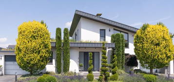 Traumhaftes Einfamilienhaus in Wesel-Blumenkamp: Sehr gepflegter Zustand mit Pool - Ihr perfektes Zuhause erwartet Sie!