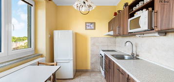 Prodej bytu 3+1 54 m²
