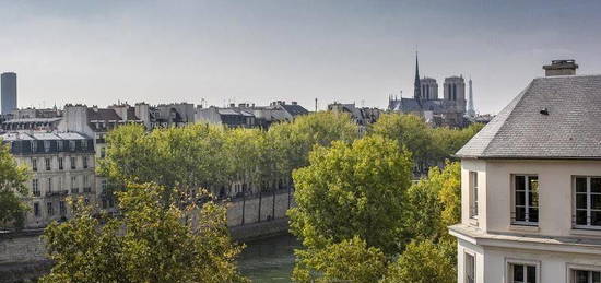 Joli six pièces meublé avec vue sur la Seine et Notre-Dame