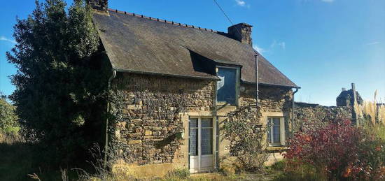 Maison 1 pièce(s), SAINT-CONGARD