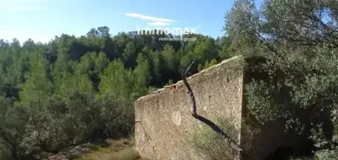 Finca r&#xFA;stica en Xerta