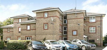 1 bed flat to rent