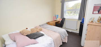 2 bed flat to rent