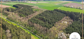 *Waldgrundstück**Mischwald**Leichte Hanglage**