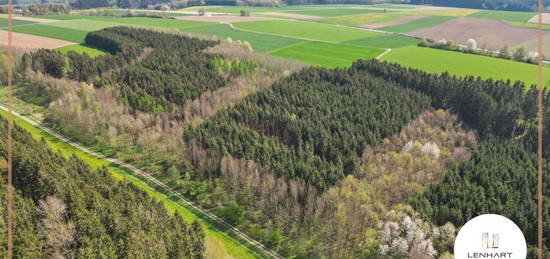 *Waldgrundstück**Mischwald**Leichte Hanglage**