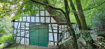 Mitten im Wald bei Ostercappeln: Kleines Haus mit großem Potential! OPEN HOUSE am 23.11. um 11h!