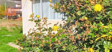 Departamento en Alquiler, Barrio Arrayanes