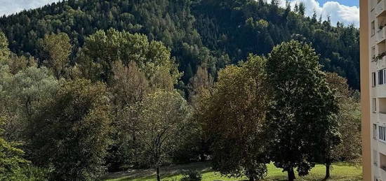 Möblierte Wohnung in Kapfenberg